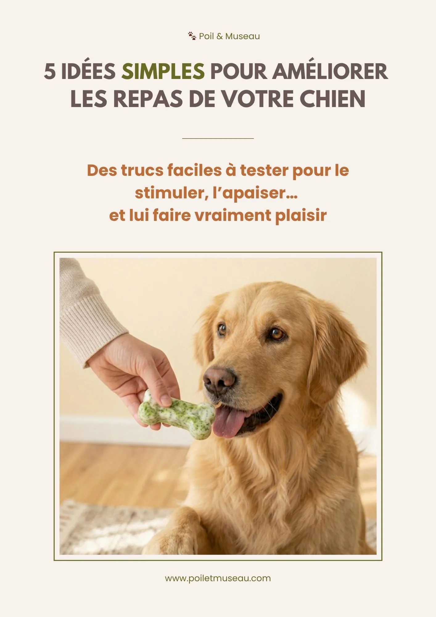 Guide gratuit avec idées simples pour stimuler les repas du chien